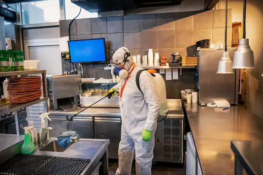 Bars & Restaurants Pest Control Solutions