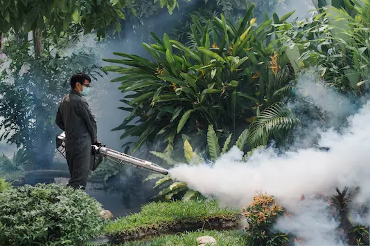 Hotel & Resort Pest Control Solutions
